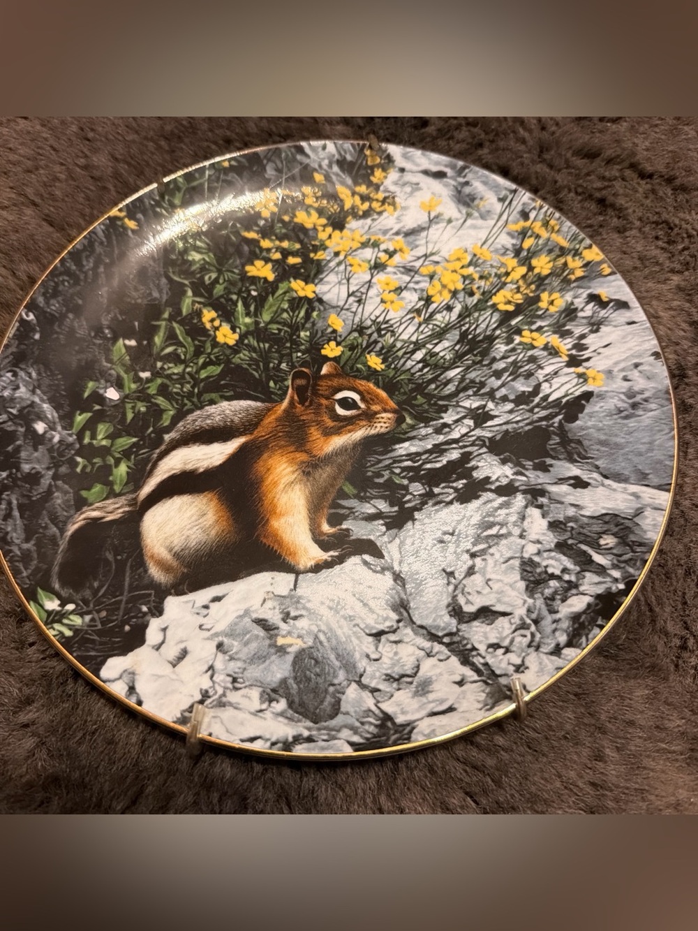 The Hamilton Collection Chipmunk Plate with Yellow Floral Accent